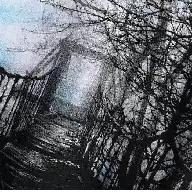 2025 Summer Fashion Men’s Cotton Set - Casual T-shirt & Shorts - Buy Center