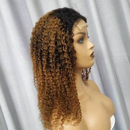 Kinky Curly Human Hair Wig - Versatile Long Style for All Skin Tones - Buy Center