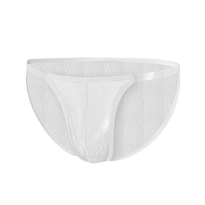Men’s Full Mesh Transparent Briefs - Breathable Low Waist Style 2025 - Buy Center