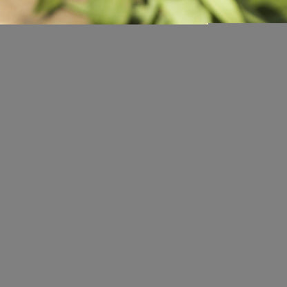 Casual Couple Watches Meridian - Stylish Quartz, Round Dial Design - Buy Center