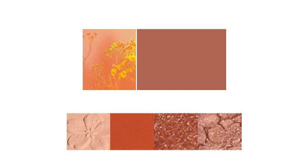 NOVO Eyeshadow Palette - Four Vibrant Colors for Stunning Makeup Looks - Buy Center