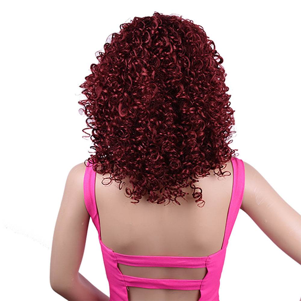 Synthetic Afro Curly Wig for Black Women - High Temp Silk, Stylish Bangs - Buy Center