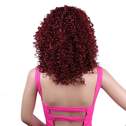 Synthetic Afro Curly Wig for Black Women - High Temp Silk, Stylish Bangs - Buy Center