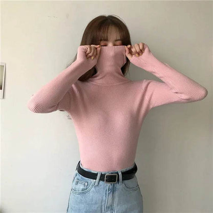 Women's Slim-Fit Turtleneck Sweater - Full Sleeve Casual Jumper - Buy Center