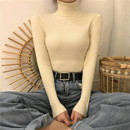 Women's Slim-Fit Turtleneck Sweater - Full Sleeve Casual Jumper - Buy Center