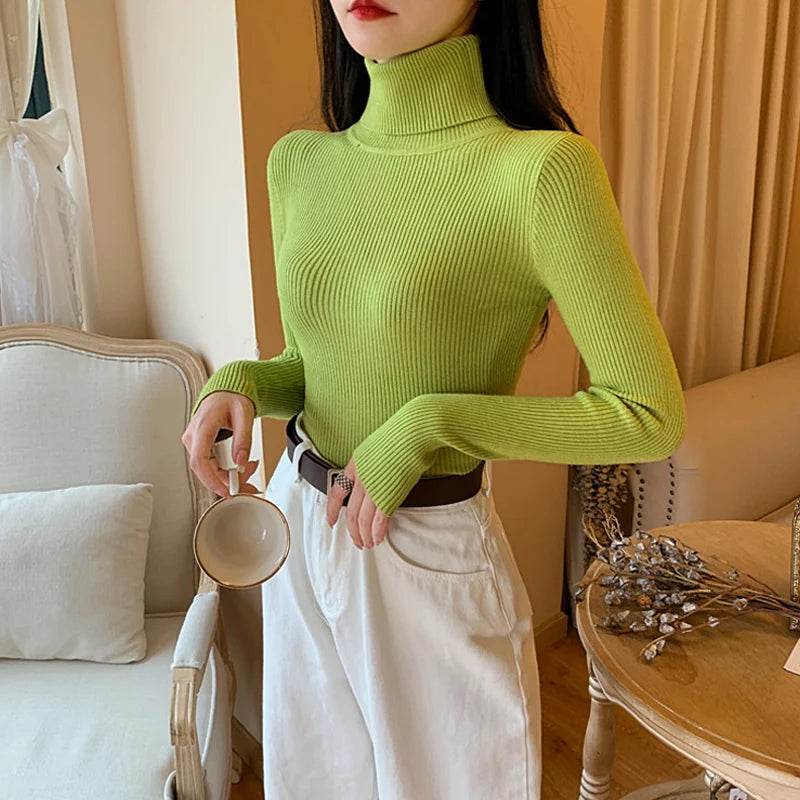 Women's Knitted Turtleneck Pullover - Autumn Winter Sweater - Buy Center