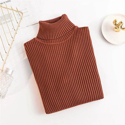 Women's Knitted Turtleneck Pullover - Autumn Winter Sweater - Buy Center