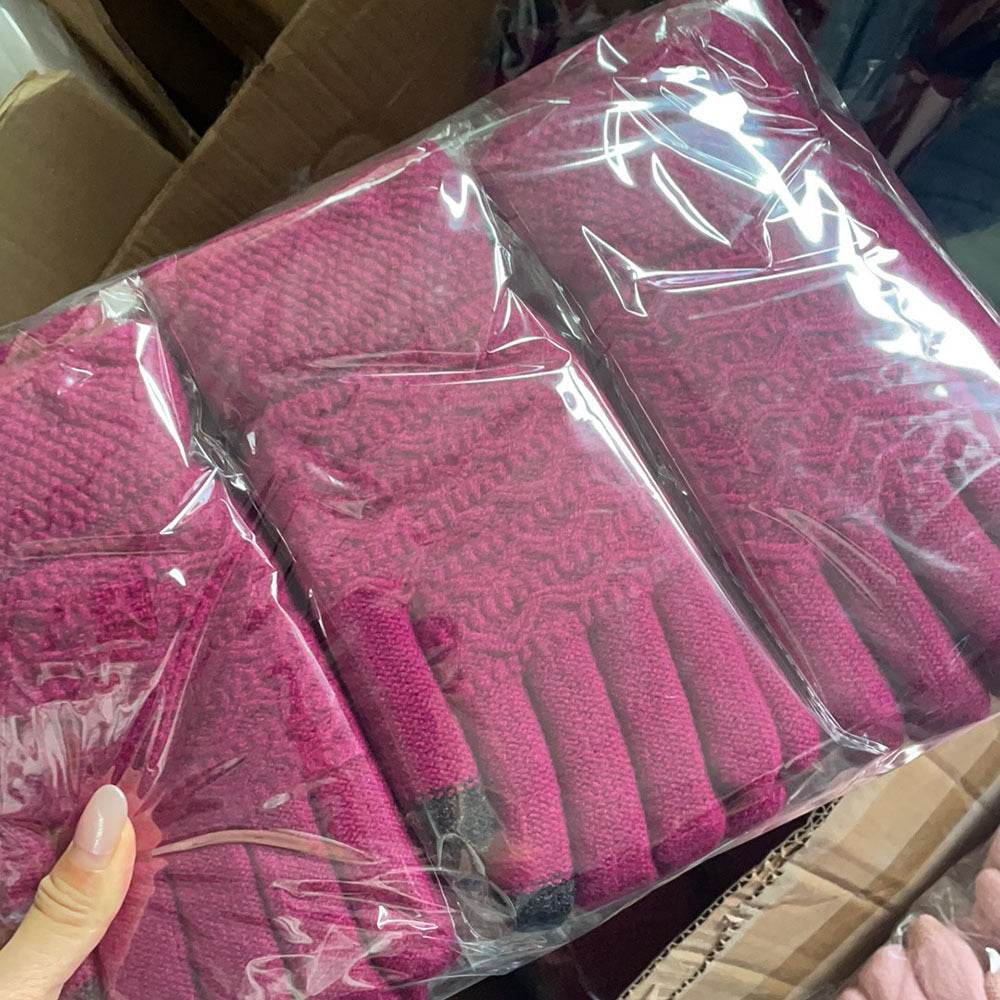 Women's Thick Velvet Gloves - Double-layer, Touchscreen Ready for Winter - Buy Center