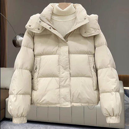 Women's Casual Cotton Coat - Stylish Padded Jacket in Multiple Colors - Buy Center